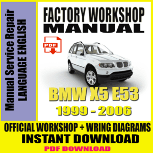 BMW-X5-E53-1999-2006-FACTORY-WORKSHOP-SERVICE-REPAIR-MANUAl-WIRING.png